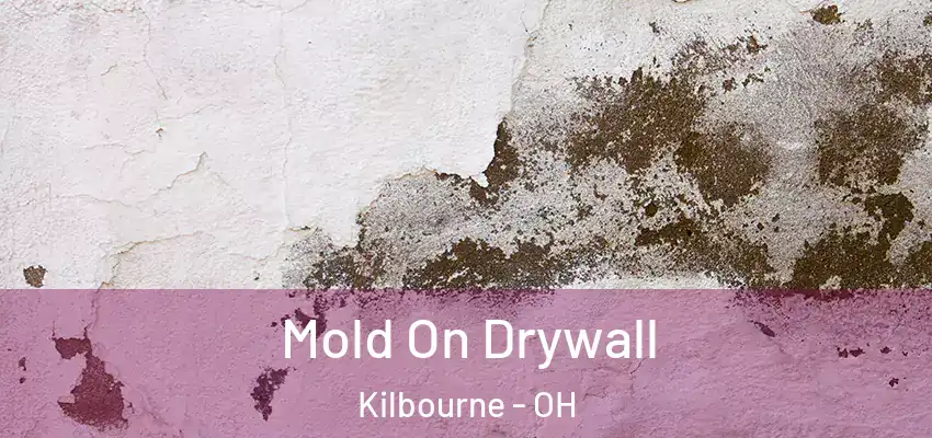  Mold On Drywall Kilbourne - OH