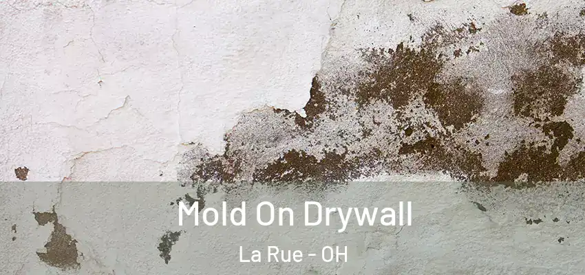 Mold On Drywall La Rue - OH