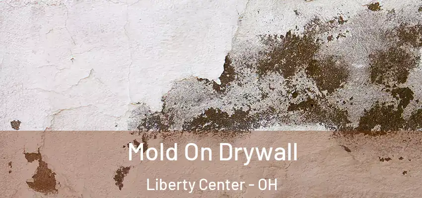 Mold On Drywall Liberty Center - OH