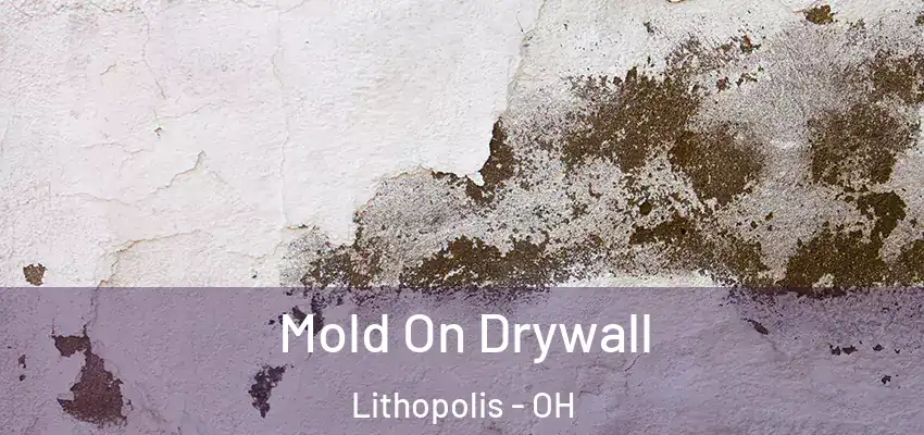 Mold On Drywall Lithopolis - OH