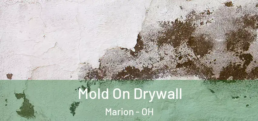 Mold On Drywall Marion - OH