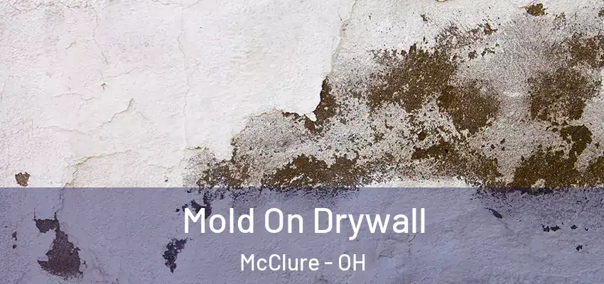 Mold On Drywall McClure - OH