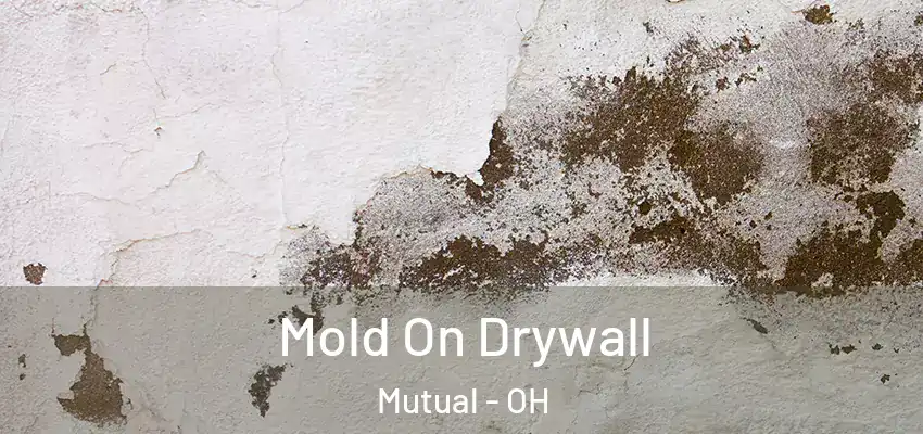  Mold On Drywall Mutual - OH