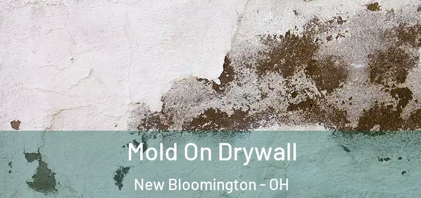  Mold On Drywall New Bloomington - OH