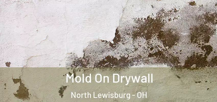 Mold On Drywall North Lewisburg - OH