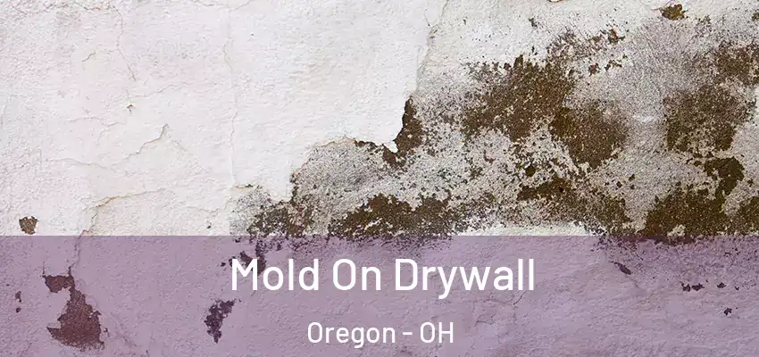 Mold On Drywall Oregon - OH