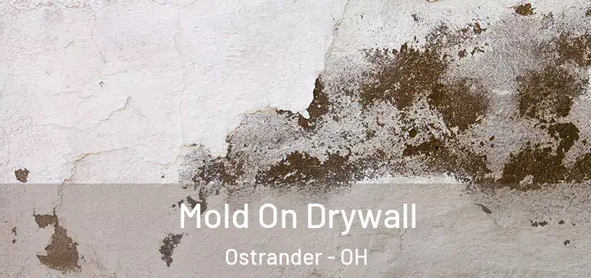 Mold On Drywall Ostrander - OH