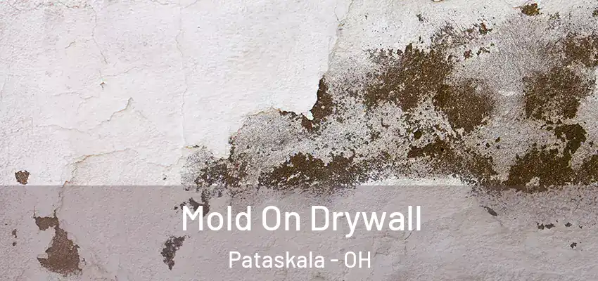  Mold On Drywall Pataskala - OH