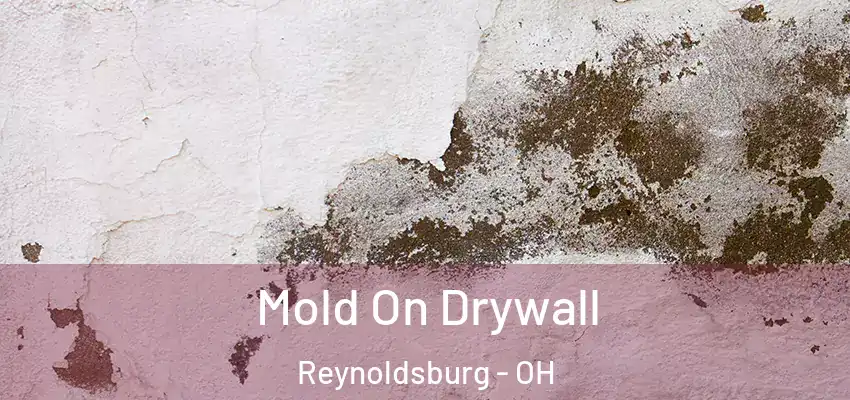  Mold On Drywall Reynoldsburg - OH