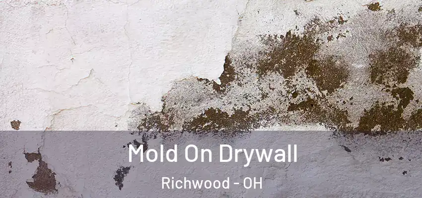  Mold On Drywall Richwood - OH