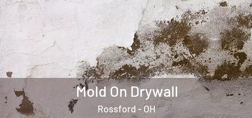  Mold On Drywall Rossford - OH