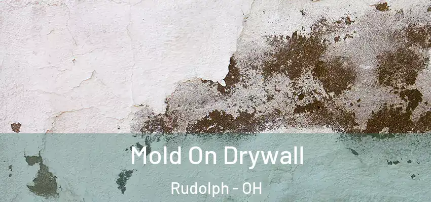 Mold On Drywall Rudolph - OH