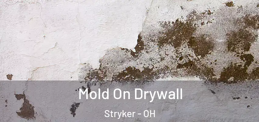  Mold On Drywall Stryker - OH