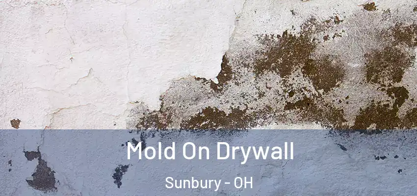  Mold On Drywall Sunbury - OH