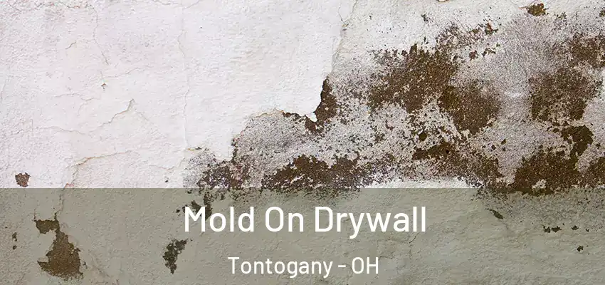  Mold On Drywall Tontogany - OH