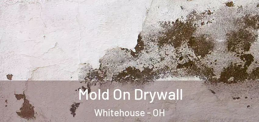  Mold On Drywall Whitehouse - OH
