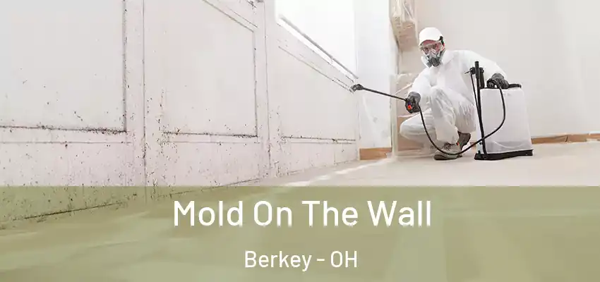  Mold On The Wall Berkey - OH