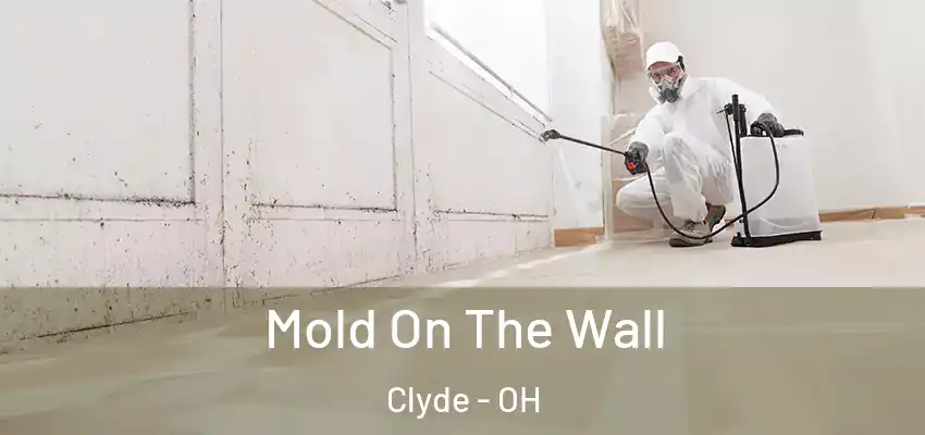 Mold On The Wall Clyde - OH