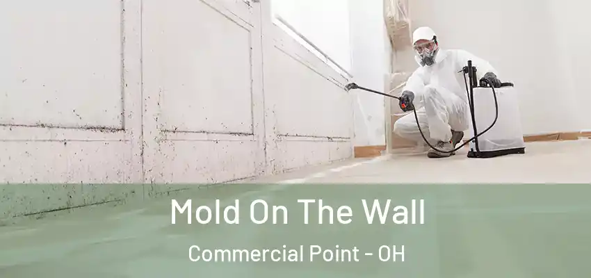  Mold On The Wall Commercial Point - OH