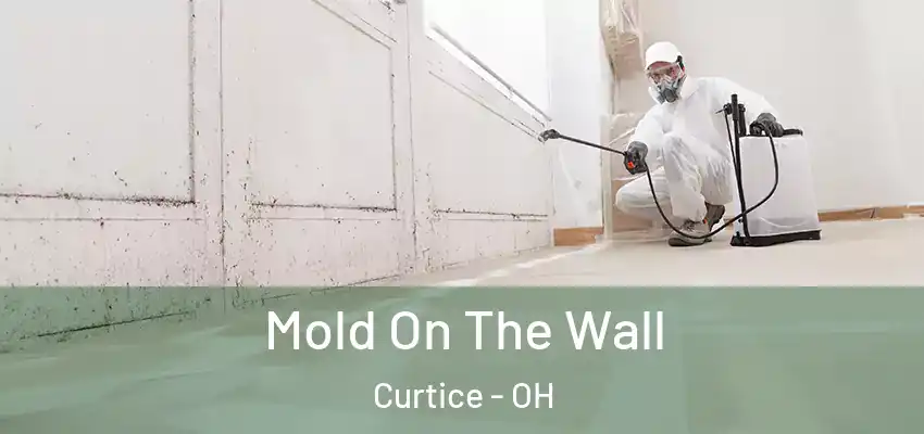  Mold On The Wall Curtice - OH