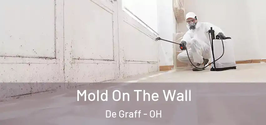  Mold On The Wall De Graff - OH