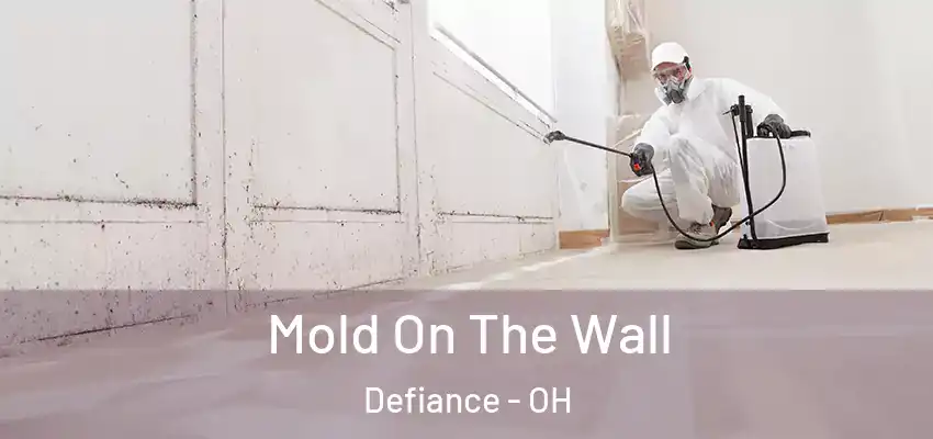  Mold On The Wall Defiance - OH