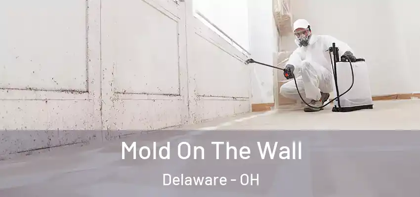 Mold On The Wall Delaware - OH
