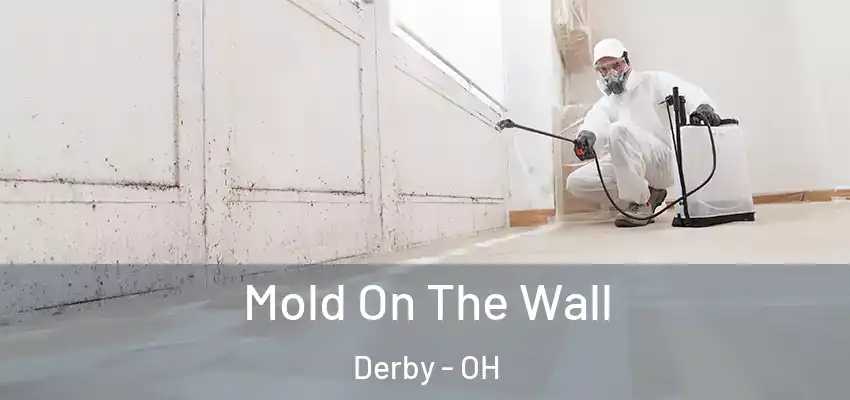  Mold On The Wall Derby - OH
