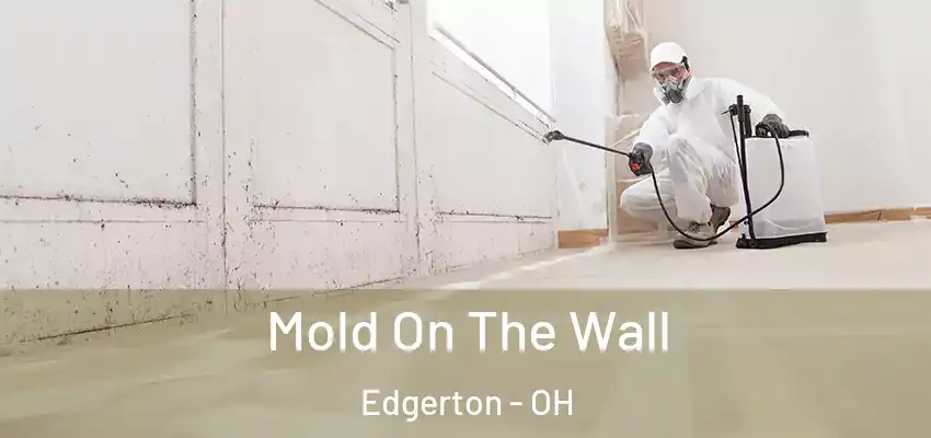  Mold On The Wall Edgerton - OH