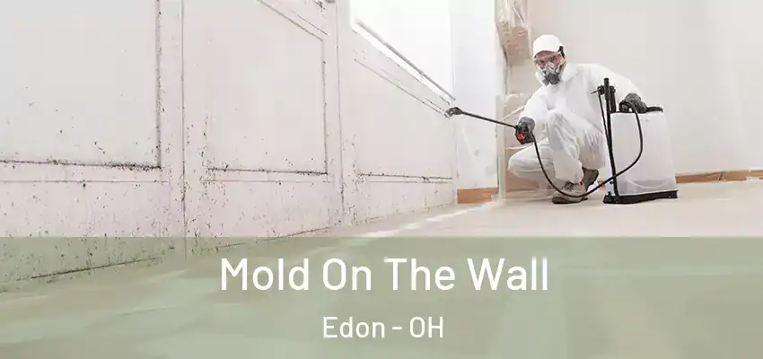  Mold On The Wall Edon - OH