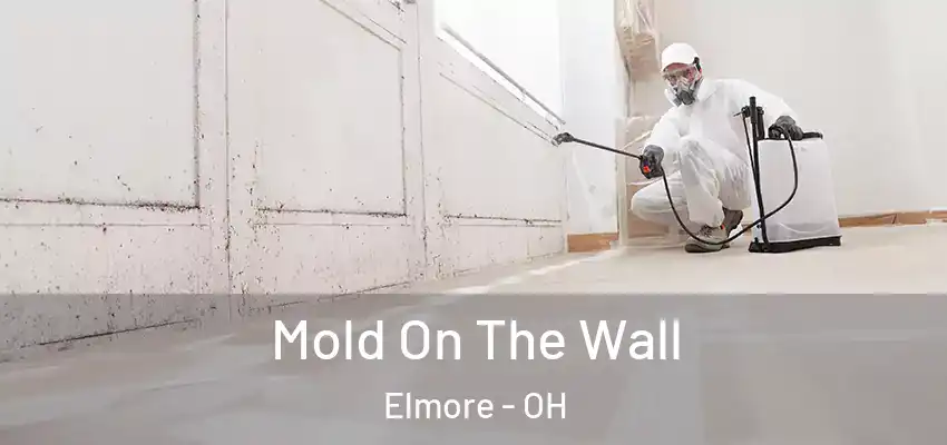  Mold On The Wall Elmore - OH