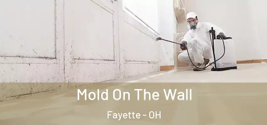  Mold On The Wall Fayette - OH