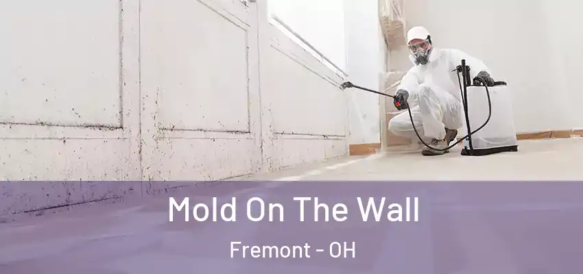 Mold On The Wall Fremont - OH