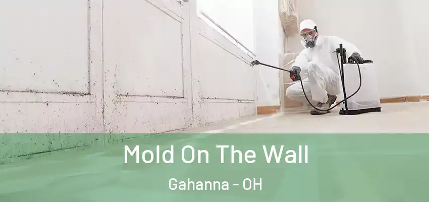  Mold On The Wall Gahanna - OH