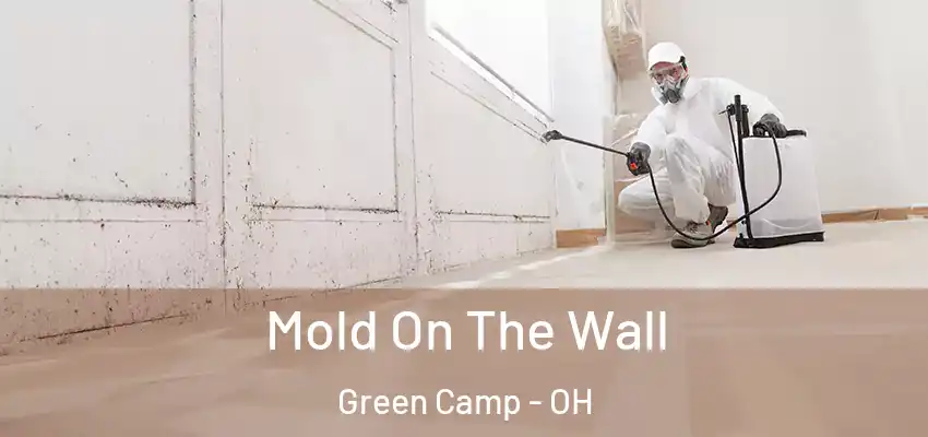  Mold On The Wall Green Camp - OH
