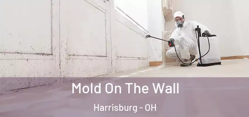 Mold On The Wall Harrisburg - OH