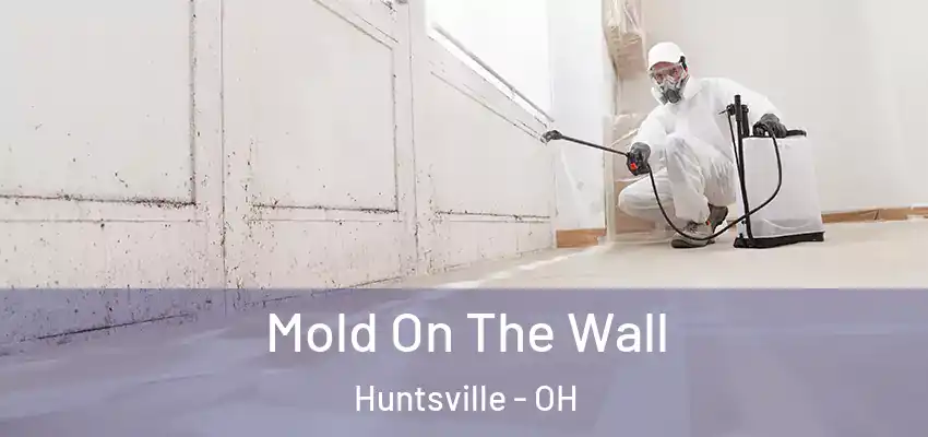 Mold On The Wall Huntsville - OH