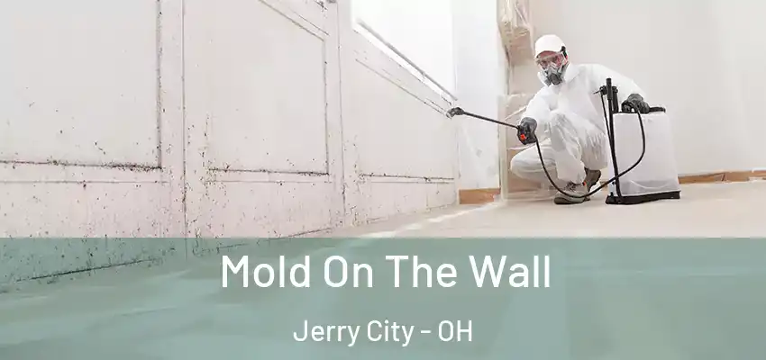  Mold On The Wall Jerry City - OH