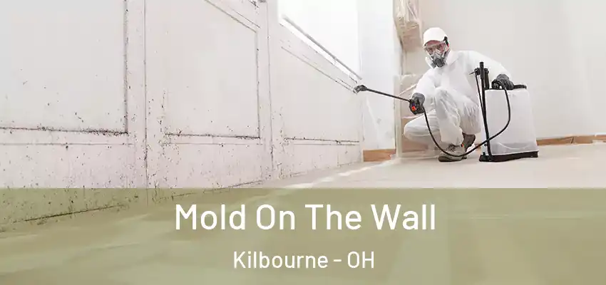  Mold On The Wall Kilbourne - OH