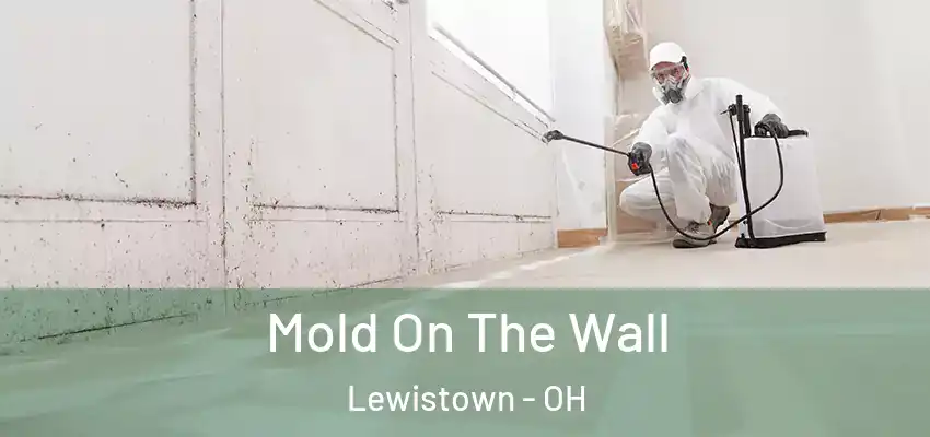  Mold On The Wall Lewistown - OH