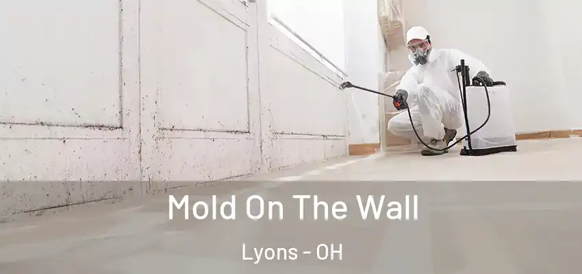 Mold On The Wall Lyons - OH