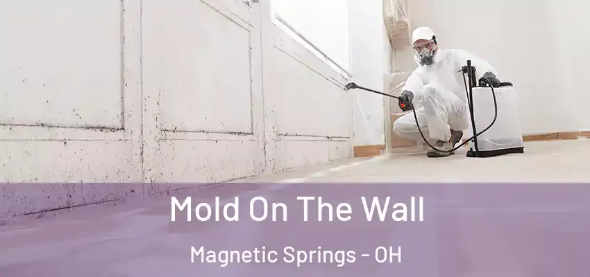  Mold On The Wall Magnetic Springs - OH