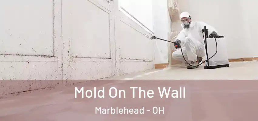 Mold On The Wall Marblehead - OH
