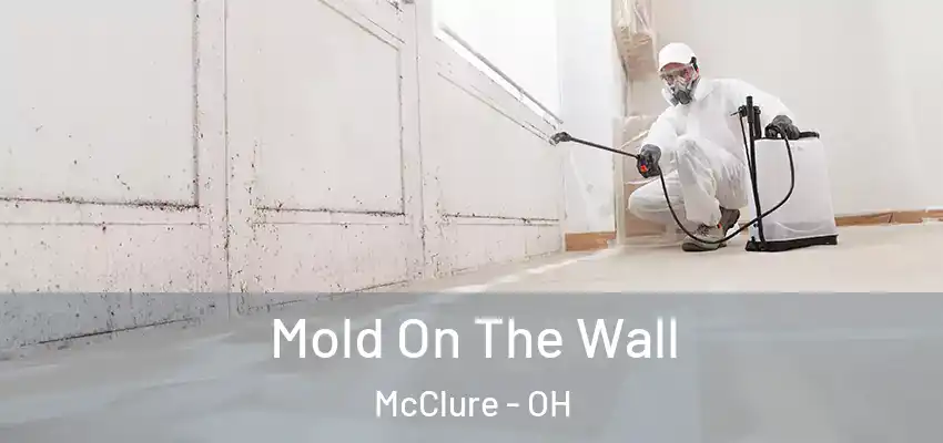  Mold On The Wall McClure - OH