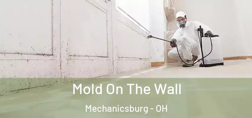  Mold On The Wall Mechanicsburg - OH