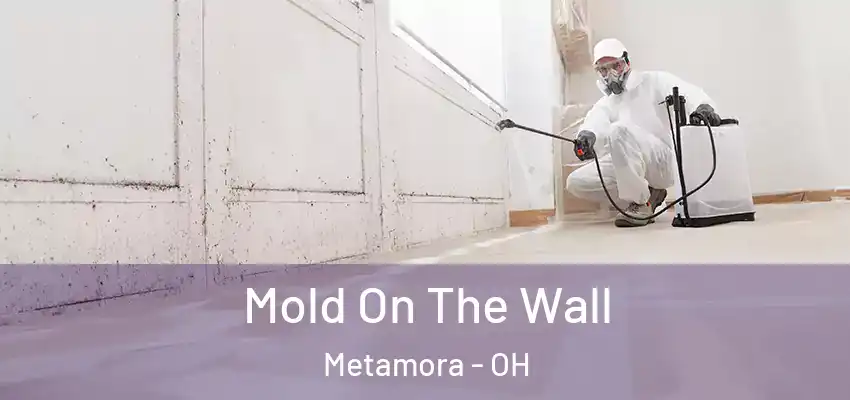  Mold On The Wall Metamora - OH
