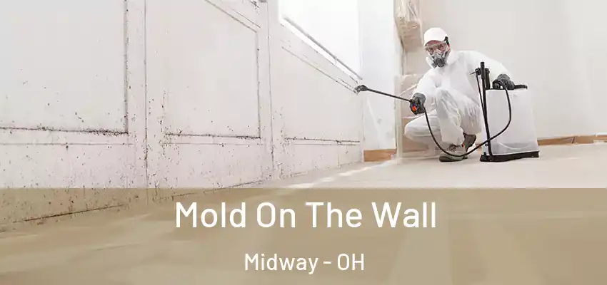  Mold On The Wall Midway - OH