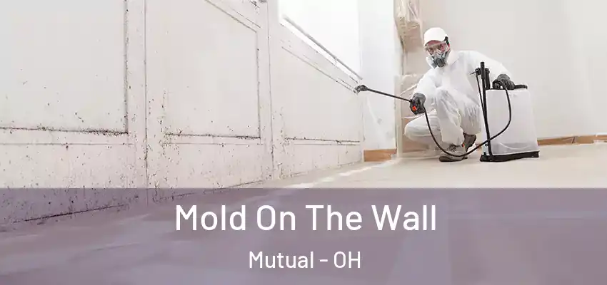  Mold On The Wall Mutual - OH