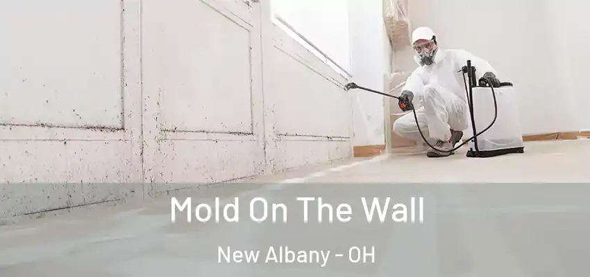  Mold On The Wall New Albany - OH