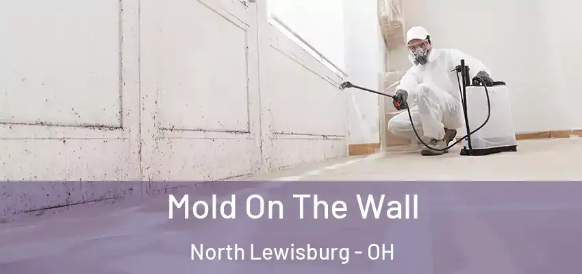  Mold On The Wall North Lewisburg - OH